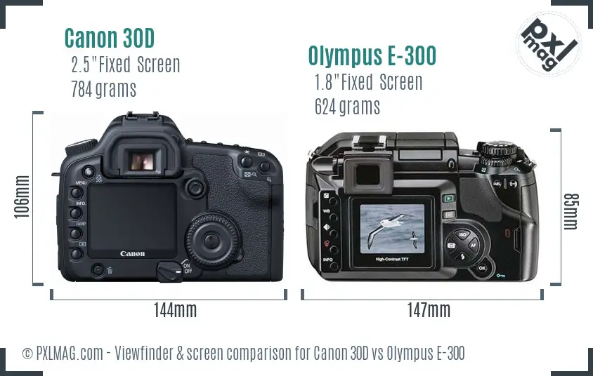 Canon 30D vs Olympus E-300 Screen and Viewfinder comparison