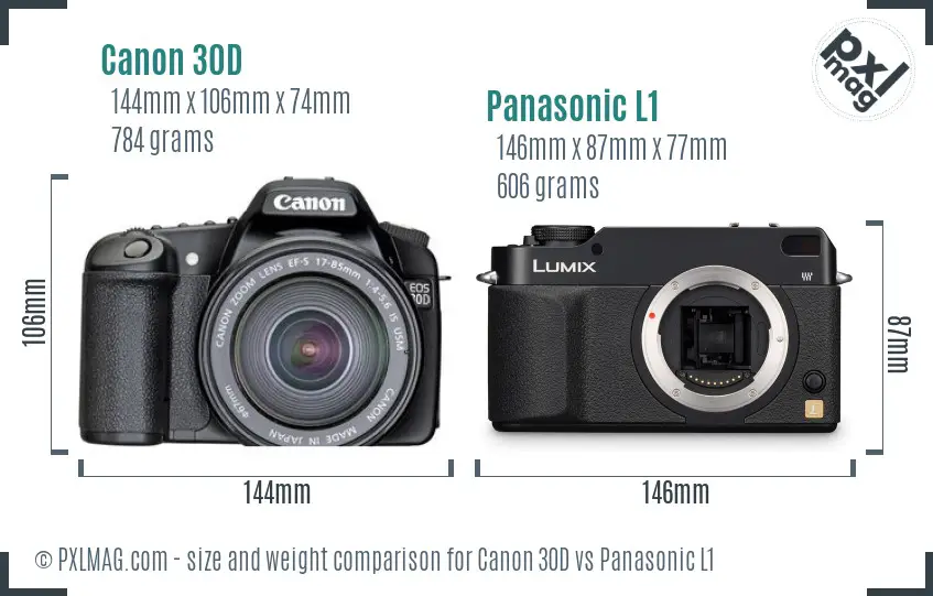 Canon 30D vs Panasonic L1 size comparison