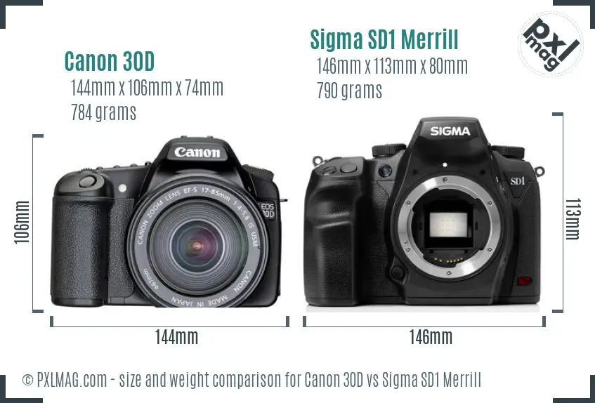 Canon 30D vs Sigma SD1 Merrill size comparison