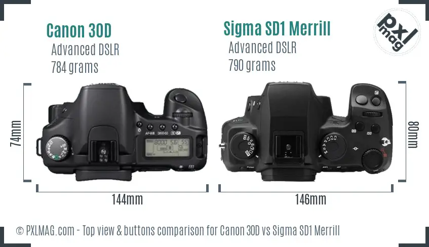 Canon 30D vs Sigma SD1 Merrill top view buttons comparison