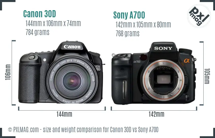 Canon 30D vs Sony A700 size comparison