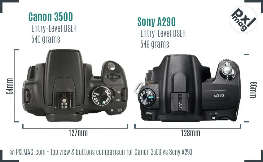 Canon 350D vs Sony A290 top view buttons comparison