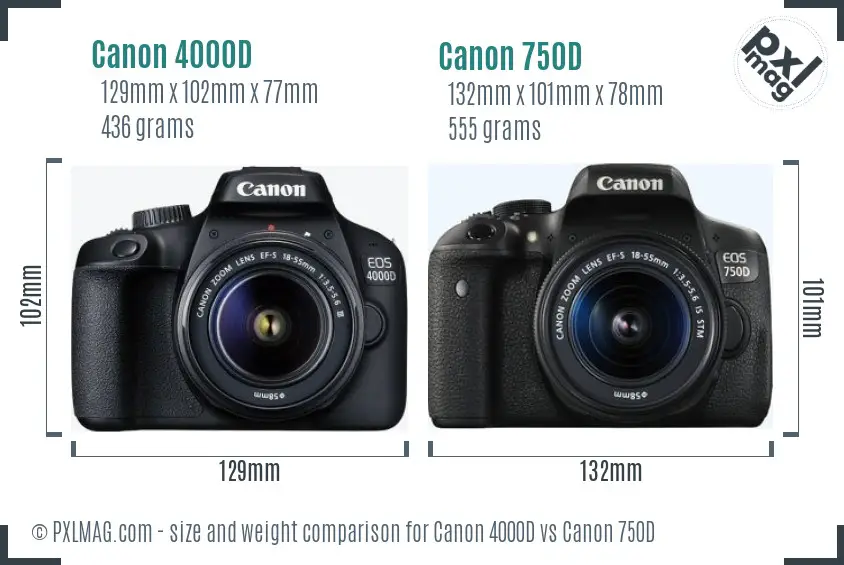 Canon 4000D vs Canon 750D size comparison