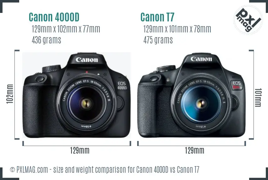 Canon 4000D vs Canon T7 size comparison