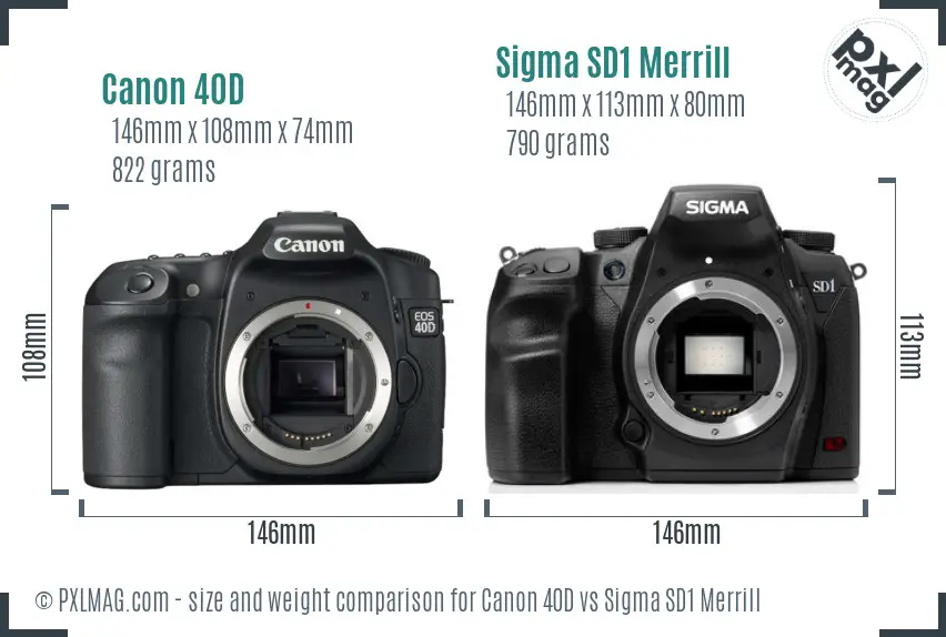 Canon 40D vs Sigma SD1 Merrill size comparison