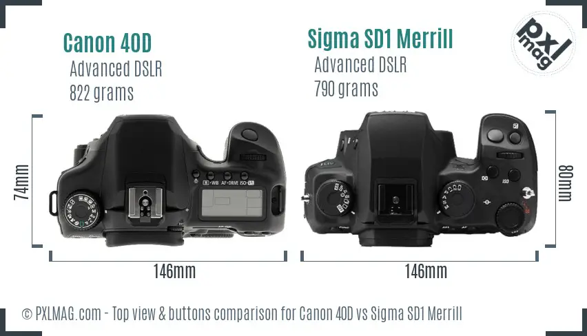 Canon 40D vs Sigma SD1 Merrill top view buttons comparison