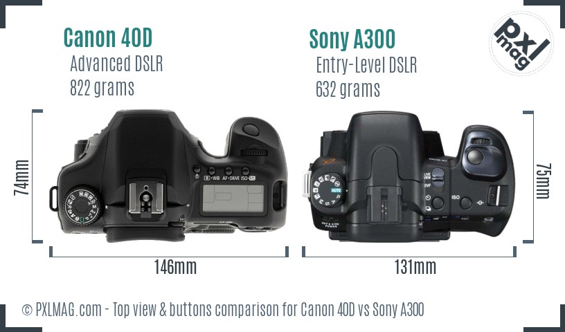 Canon 40D vs Sony A300 top view buttons comparison