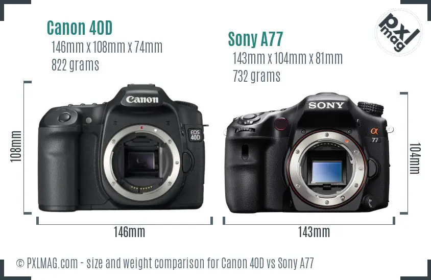 Canon 40D vs Sony A77 size comparison