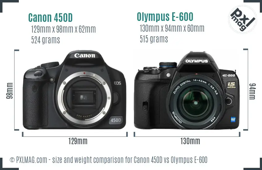 Canon 450D vs Olympus E-600 size comparison