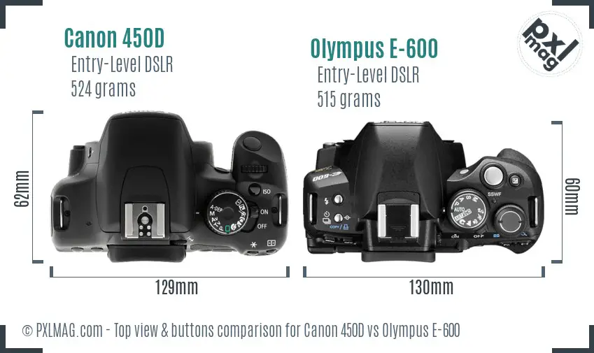 Canon 450D vs Olympus E-600 top view buttons comparison