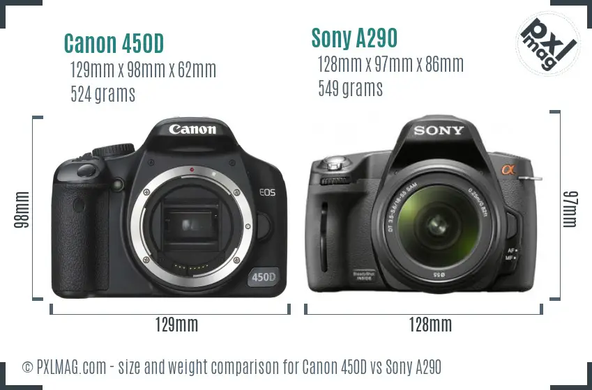 Canon 450D vs Sony A290 size comparison