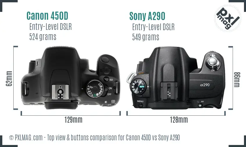 Canon 450D vs Sony A290 top view buttons comparison