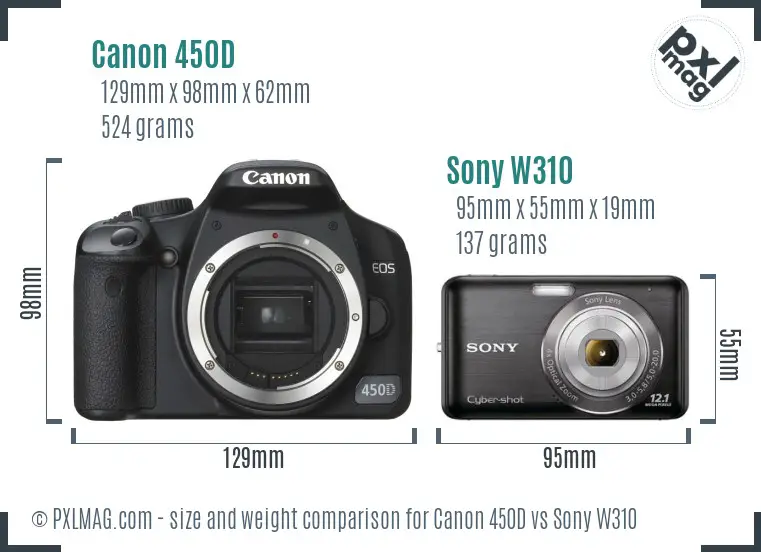 Canon 450D vs Sony W310 size comparison