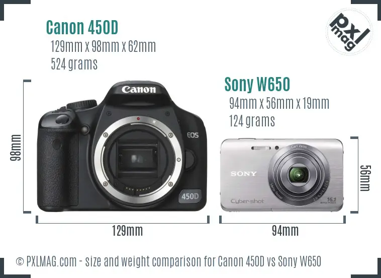 Canon 450D vs Sony W650 size comparison