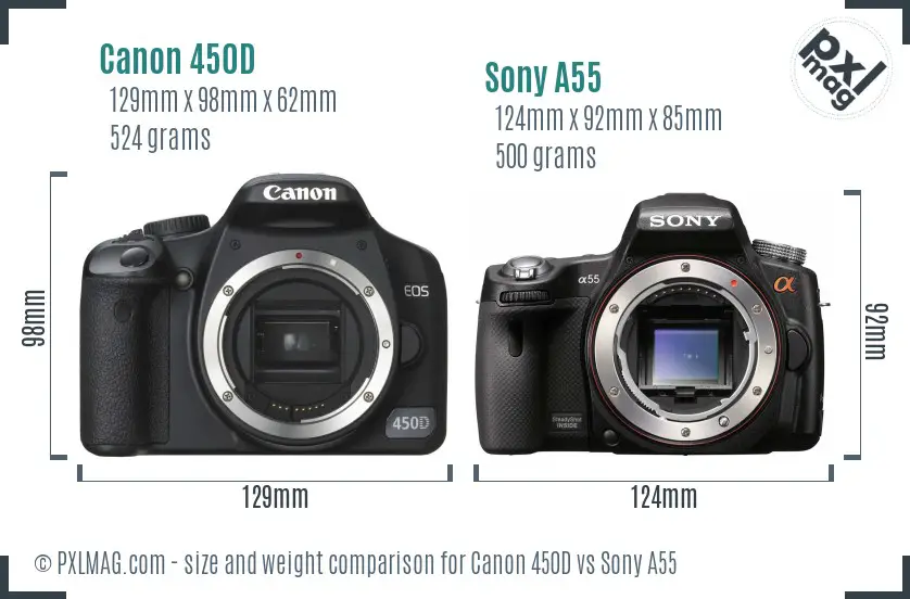 Canon 450D vs Sony A55 size comparison