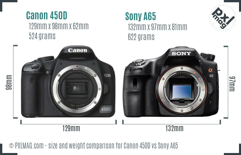 Canon 450D vs Sony A65 size comparison