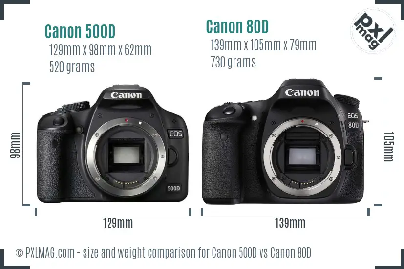 Canon 500D vs Canon 80D size comparison