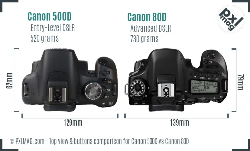 Canon 500D vs Canon 80D In Depth Comparison - PXLMAG.com