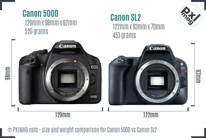 Canon 500D vs Canon SL2 size comparison