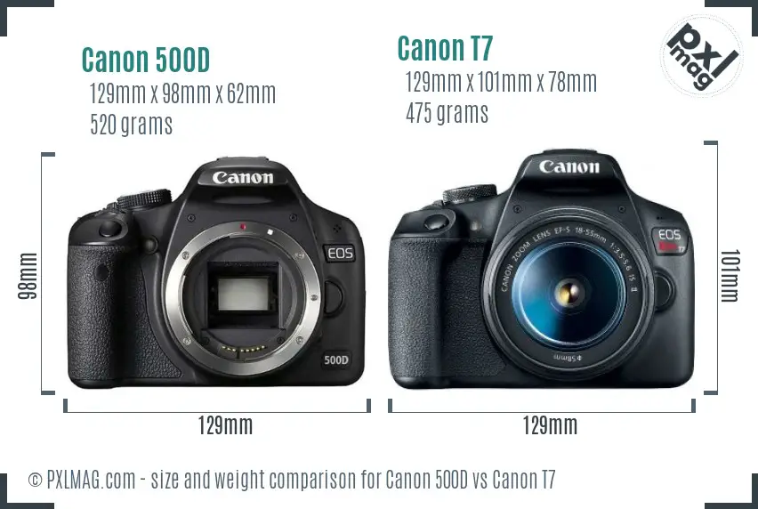 Canon 500D vs Canon T7 size comparison