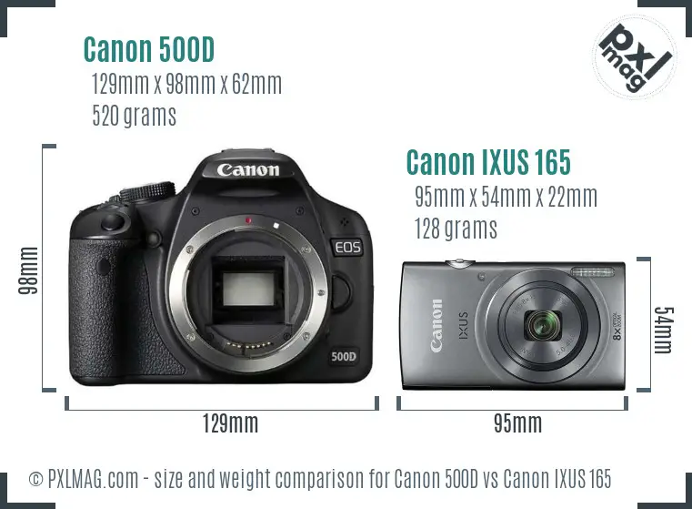 Canon 500D vs Canon IXUS 165 size comparison