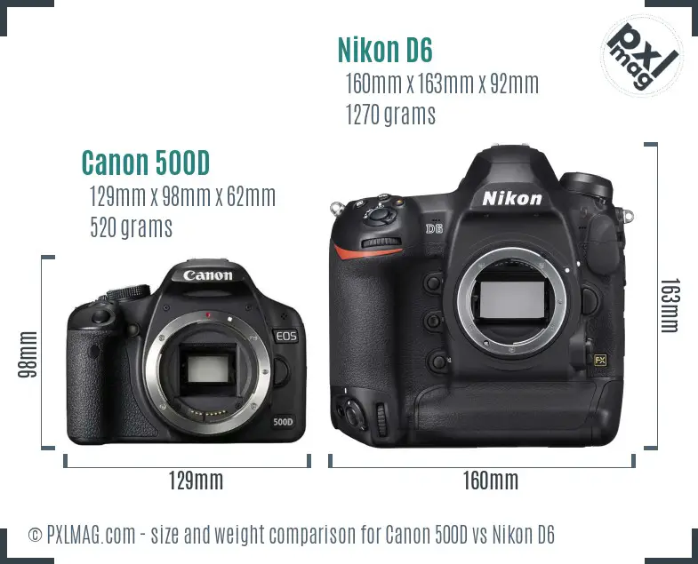 Canon 500D vs Nikon D6 size comparison