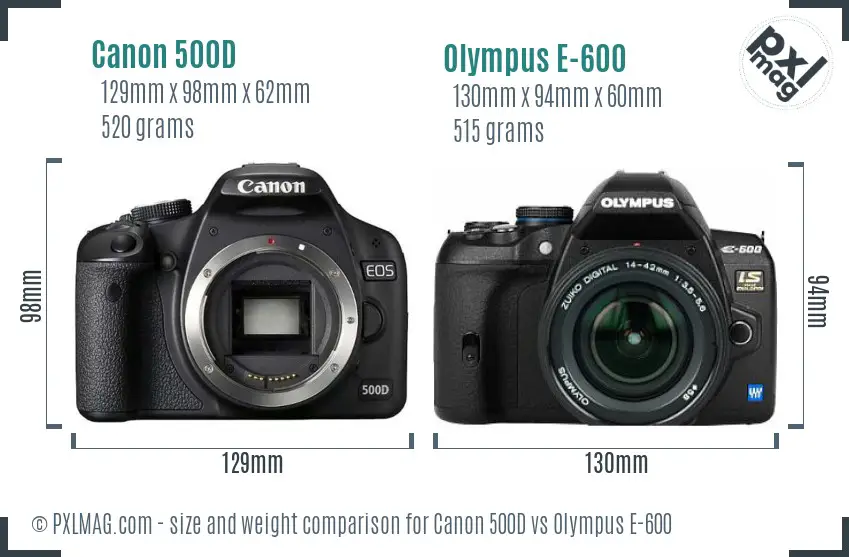 Canon 500D vs Olympus E-600 size comparison