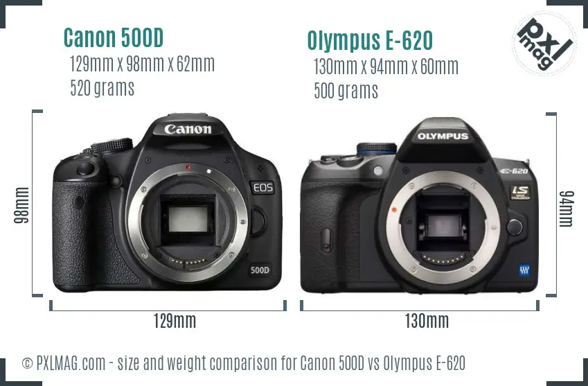 Canon 500D vs Olympus E-620 size comparison