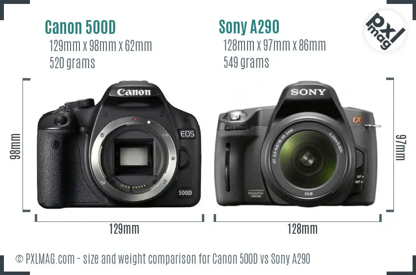 Canon 500D vs Sony A290 size comparison