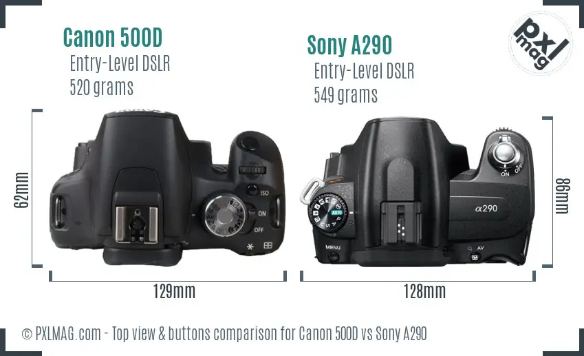 Canon 500D vs Sony A290 top view buttons comparison