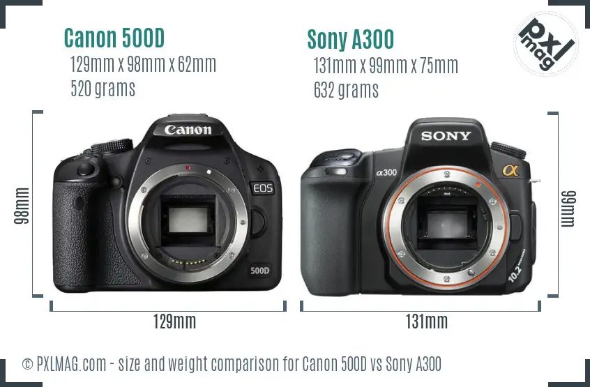 Canon 500D vs Sony A300 size comparison