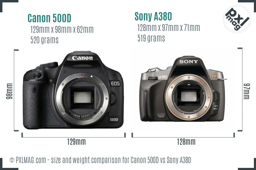 Canon 500D vs Sony A380 size comparison
