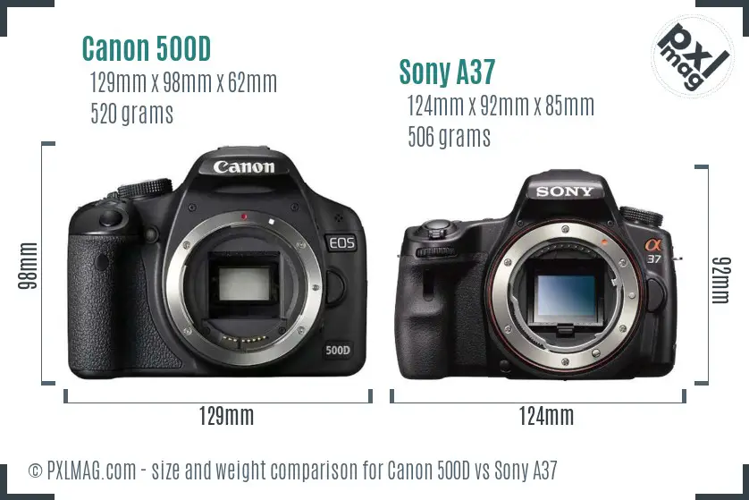 Canon 500D vs Sony A37 size comparison