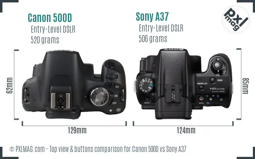 Canon 500D vs Sony A37 top view buttons comparison