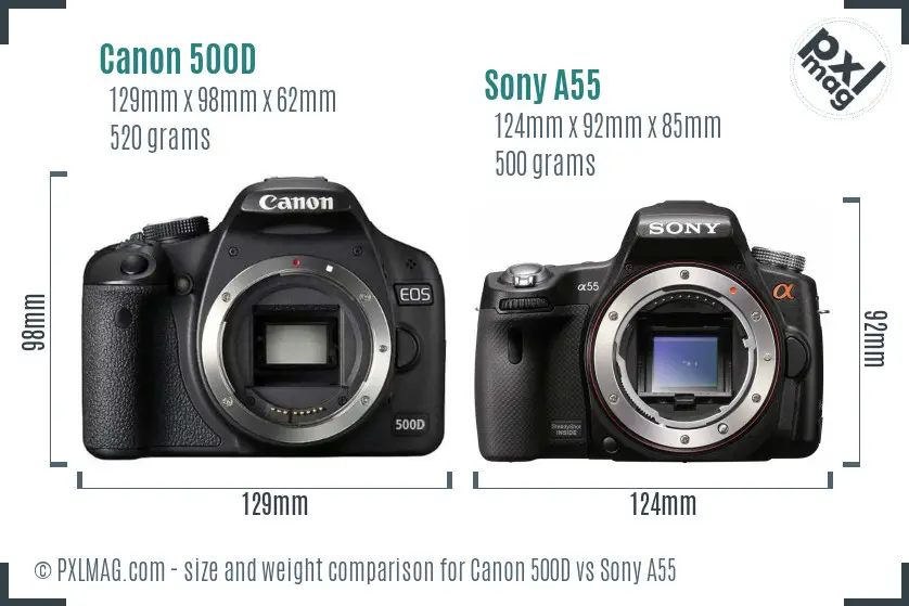 Canon 500D vs Sony A55 size comparison