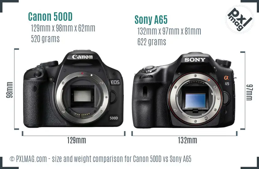 Canon 500D vs Sony A65 size comparison