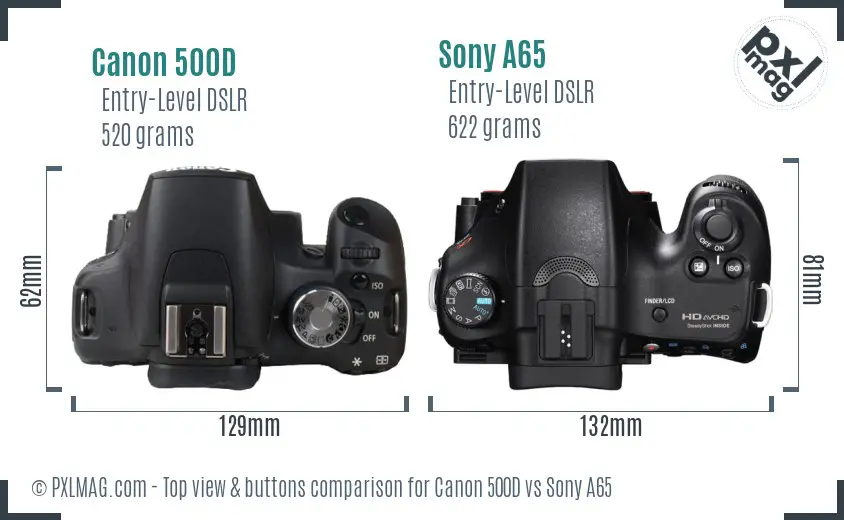Canon 500D vs Sony A65 top view buttons comparison