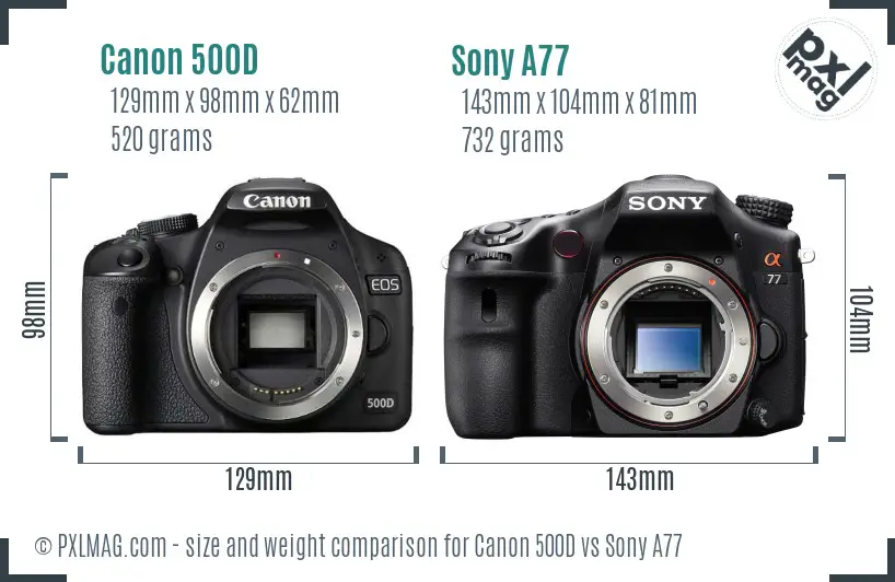 Canon 500D vs Sony A77 size comparison