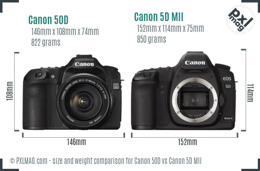 Canon 50D vs Canon 5D MII size comparison