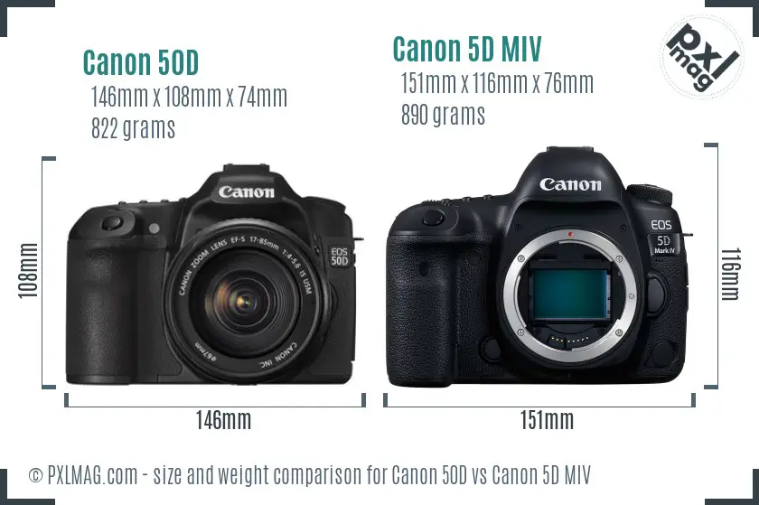 Canon 50D vs Canon 5D MIV size comparison