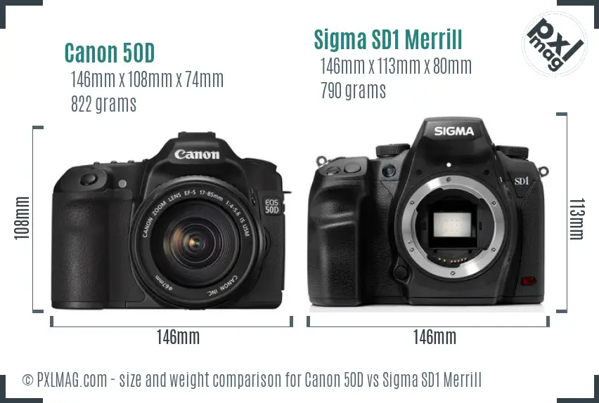 Canon 50D vs Sigma SD1 Merrill size comparison