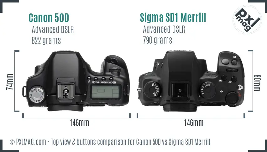 Canon 50D vs Sigma SD1 Merrill top view buttons comparison