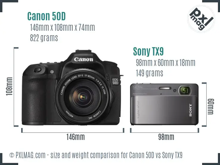 Canon 50D vs Sony NEX-F3 Detailed Comparison