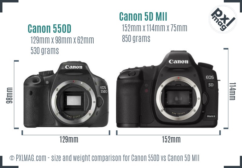 Canon 550D vs Canon 5D MII size comparison Canon 550D vs Canon 5D MII size comparison