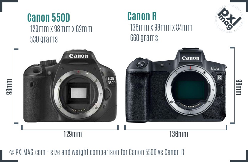 Canon 550D vs Canon R size comparison