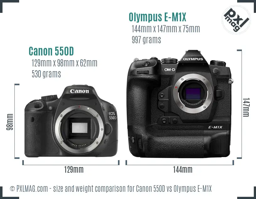 Canon 550D vs Olympus E-M1X size comparison Canon 550D vs Olympus E-M1X size comparison