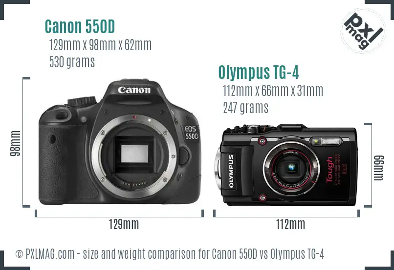 Canon 550D vs Olympus TG-4 size comparison