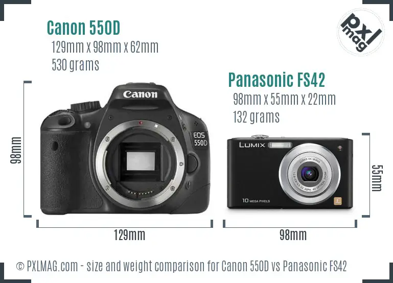 Canon 550D vs Panasonic FS42 size comparison