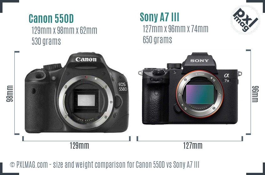 Canon 550D vs Sony A7 III size comparison
