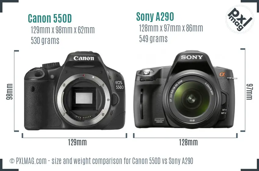 Canon 550D vs Sony A290 size comparison